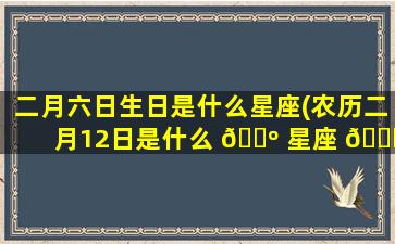 二月六日生日是什么星座(农历二月12日是什么 🌺 星座 🐛 )